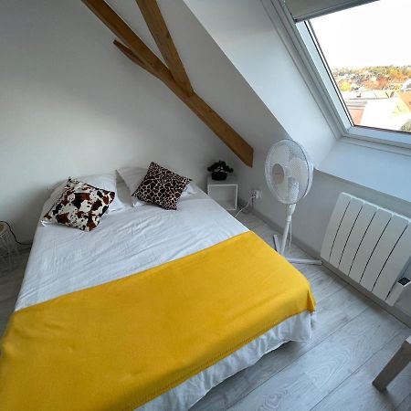 Esprit Jaune - Cosy Studio Salengro - Sauna & Sport Club Mulhouse Exterior foto